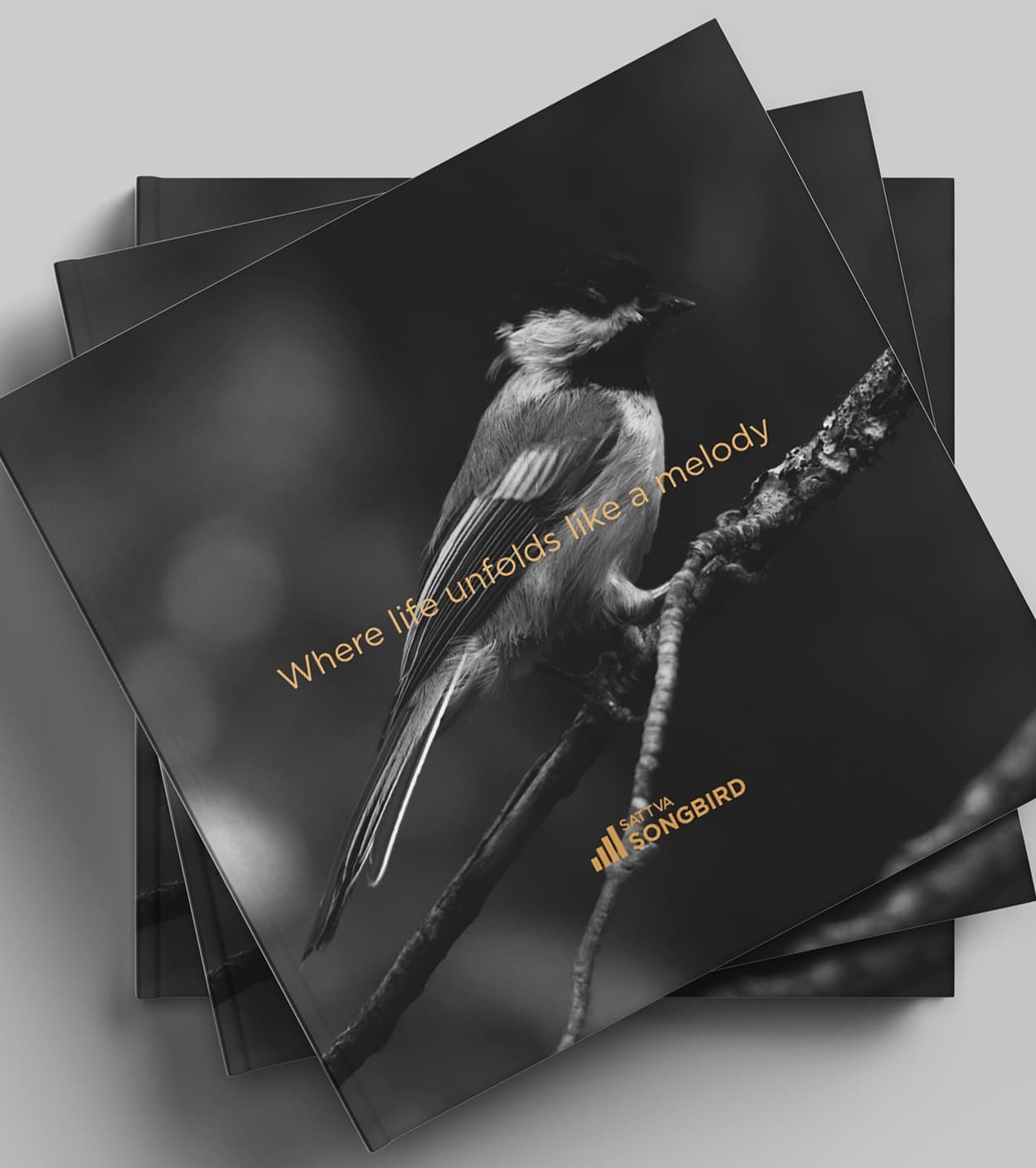 Satva Brand Cards