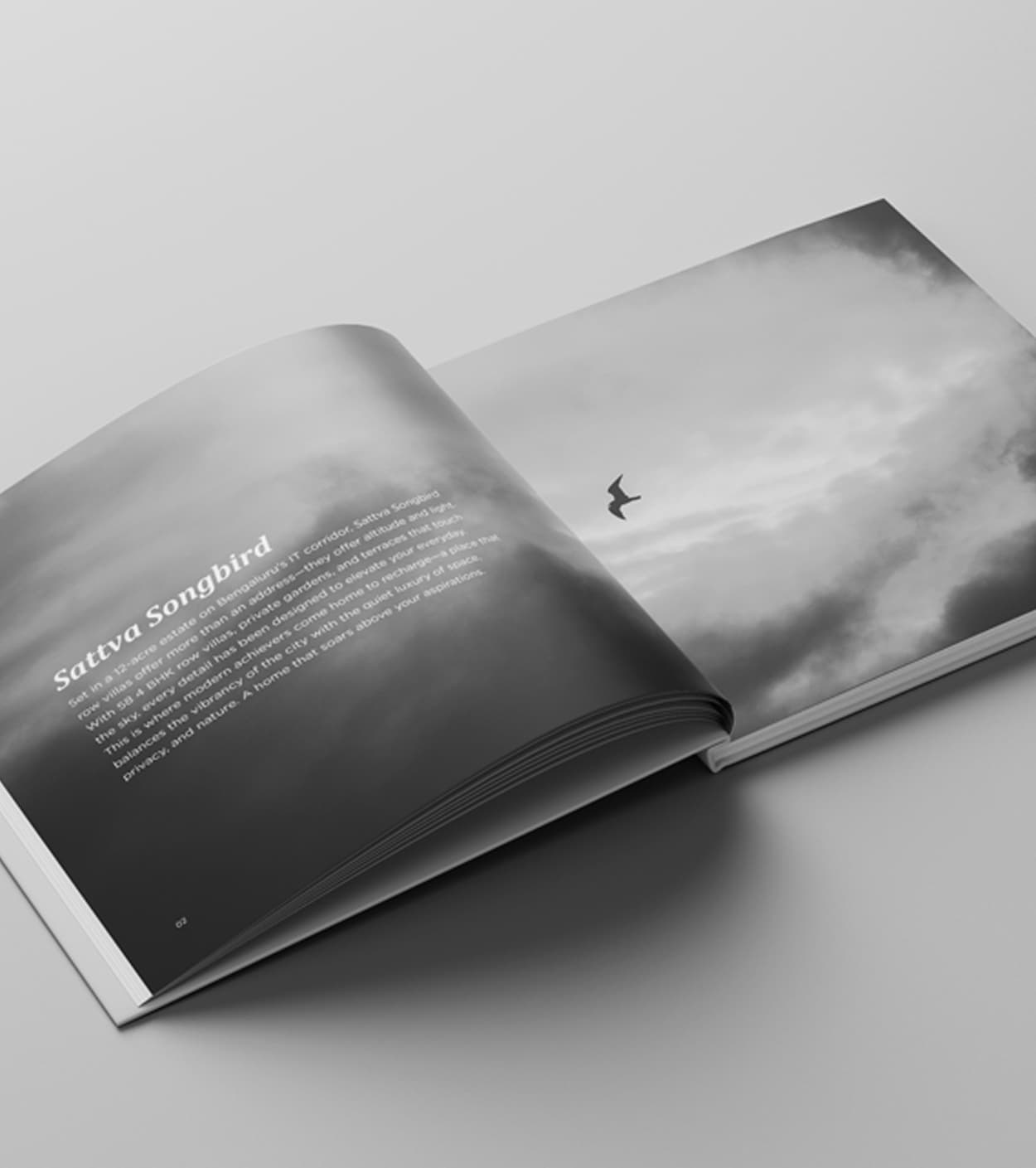 Sattva Brand Book