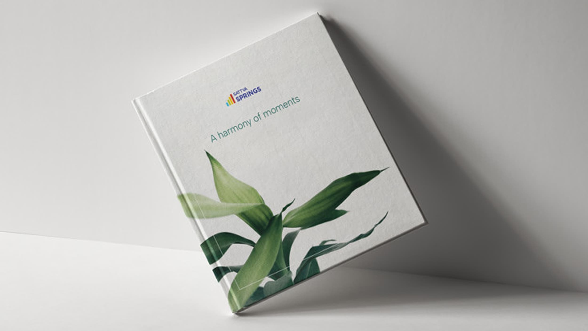 Sattva Brand Book