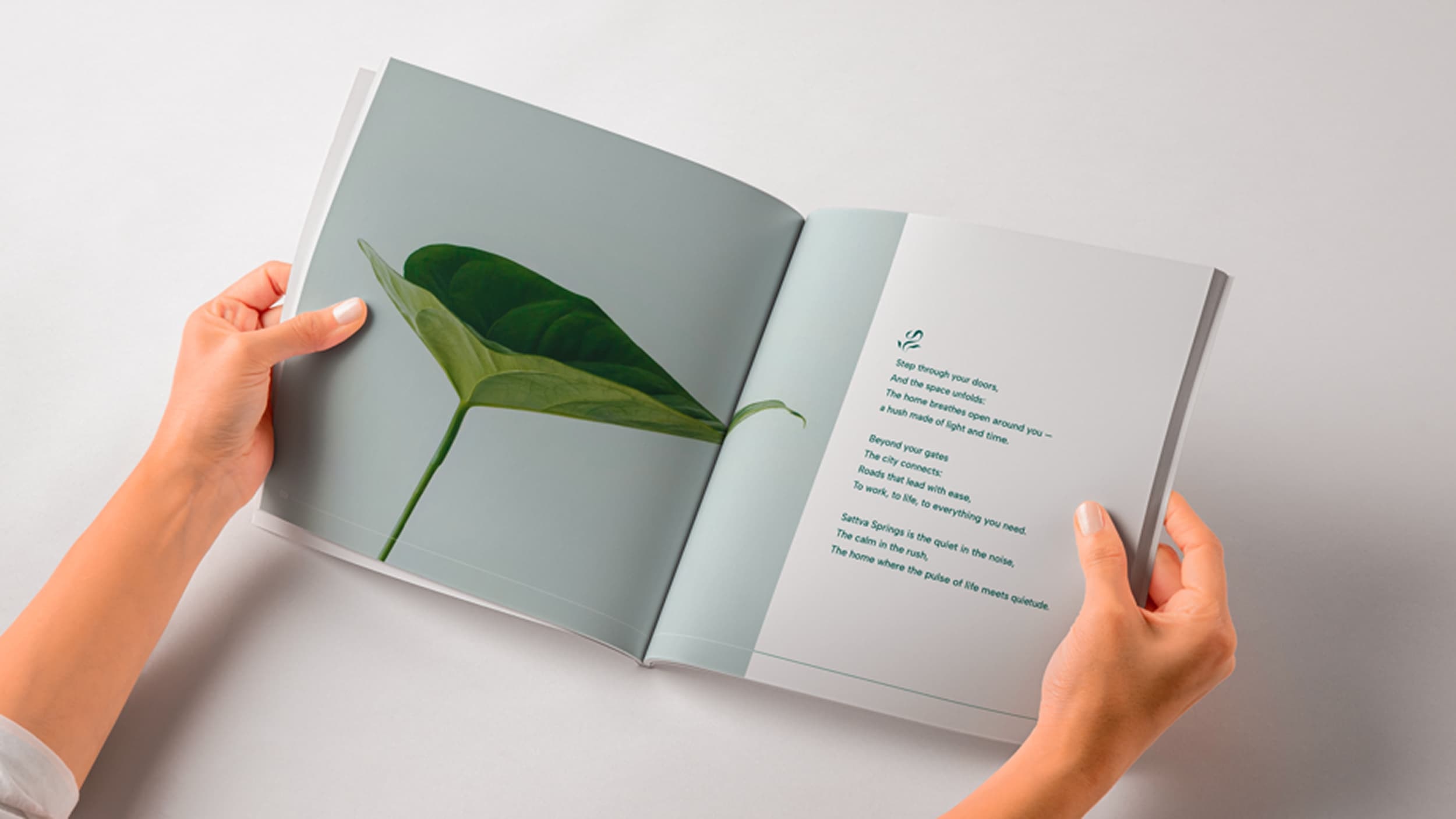 Sattva Brand Book